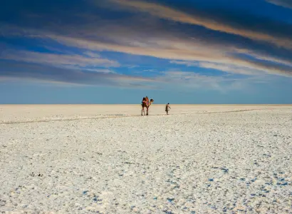 Rann Of Kutch