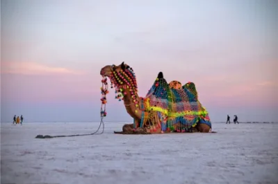 White Rann of Kutch Gujarat salt desert landscape near Dhordo visited during Ahmedabad to Kutch Bhuj taxi tour