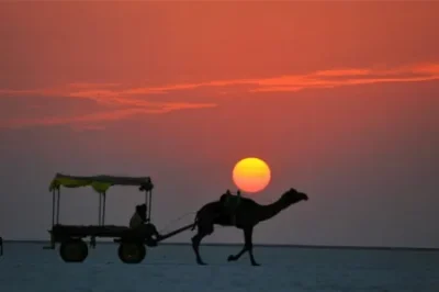 White Rann of Kutch – stunning salt desert in Gujarat